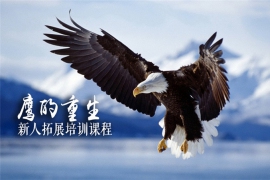 鷹的重生-新人拓展培訓(xùn)課程