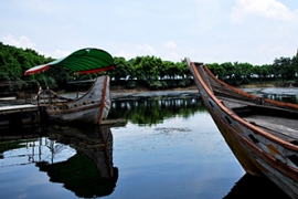 佛山南海大濕地拓展培訓基地