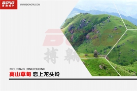 龍頭嶺徒步方案