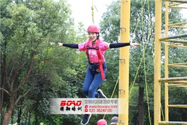 廣州拓展培訓(xùn)——團(tuán)隊的力量